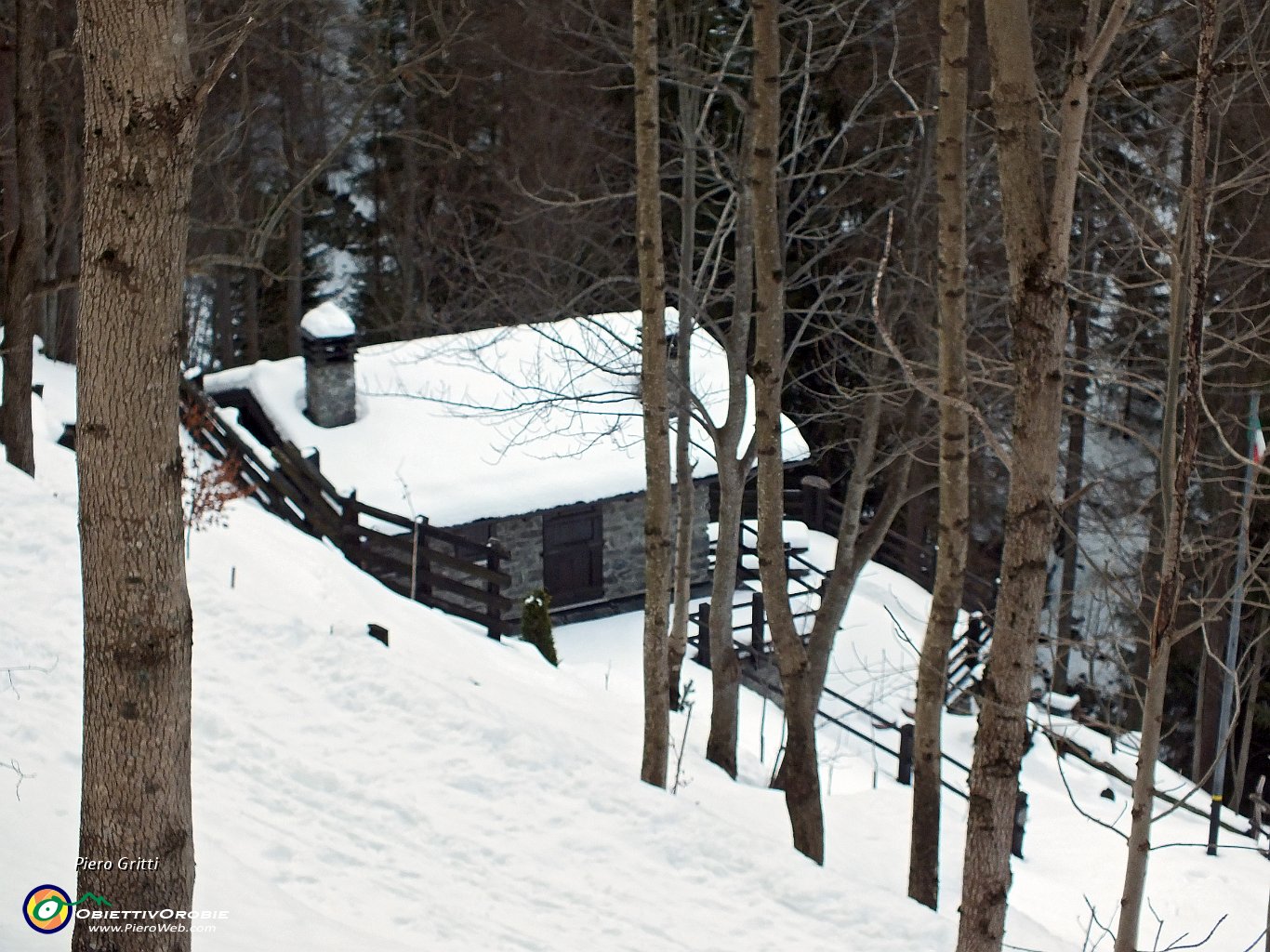 03 Casetta nel bosco.JPG